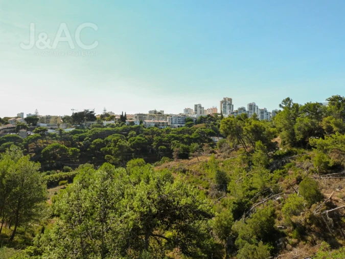 Apartamento T2 para Arrendamento em Cascais e Estoril Foto 8