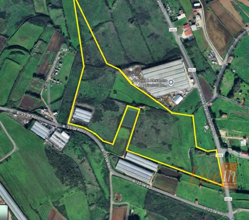 Terreno Agricola ou Rústico para Venda em Lousa Foto 1