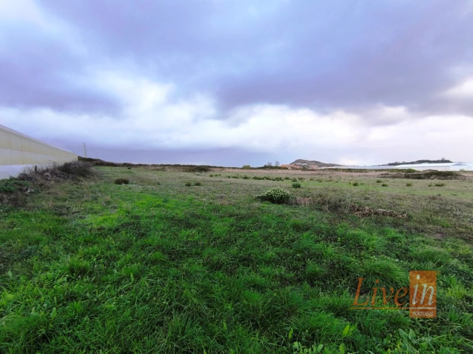 Terreno Agricola ou Rústico para Venda em Lousa Foto 4