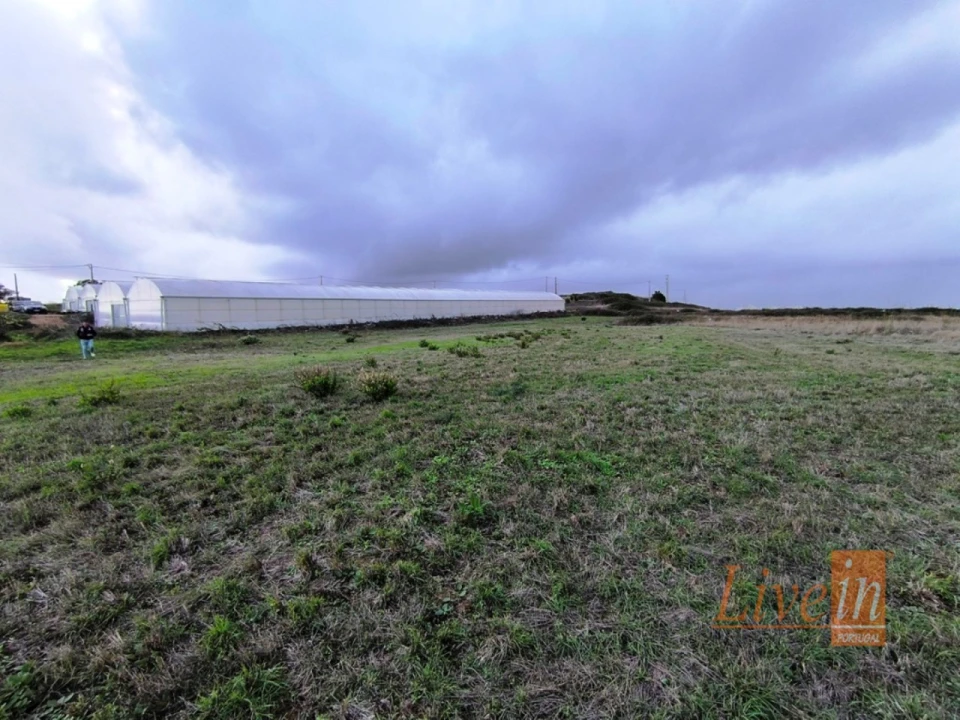 Terreno Agricola ou Rústico para Venda em Lousa Foto 6