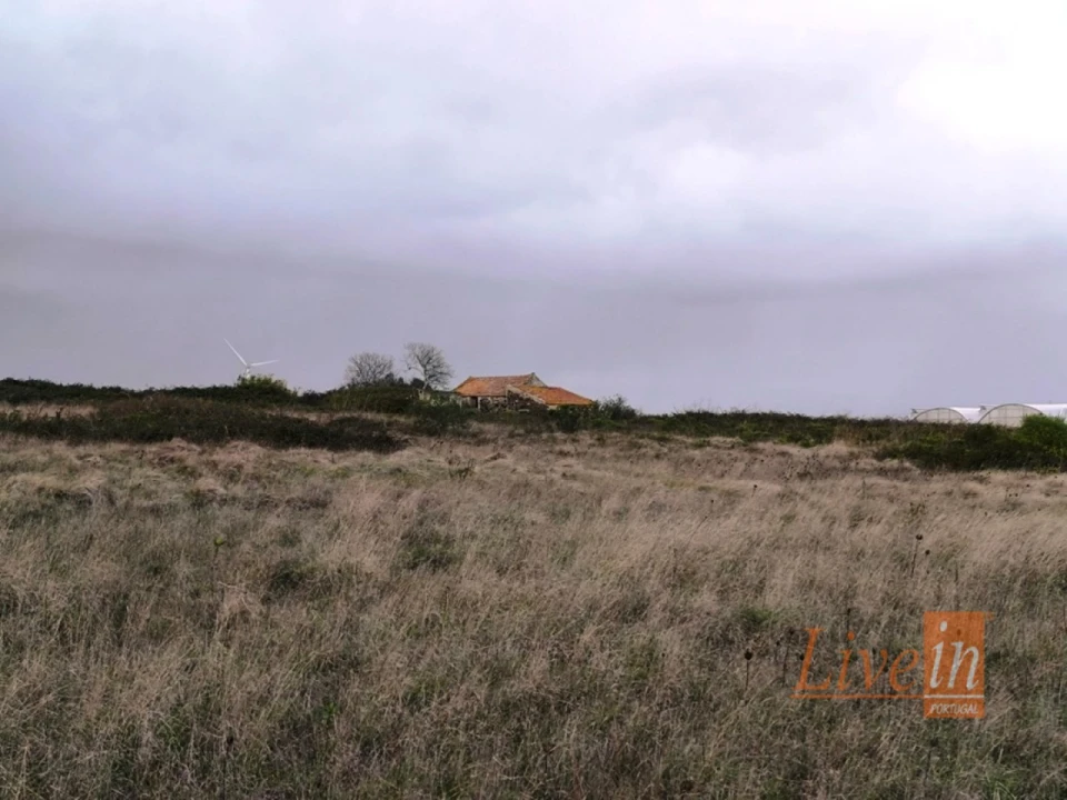 Terreno Agricola ou Rústico para Venda em Lousa Foto 10