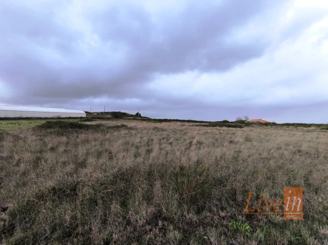 Terreno Agricola ou Rústico para Venda em Lousa Foto 8