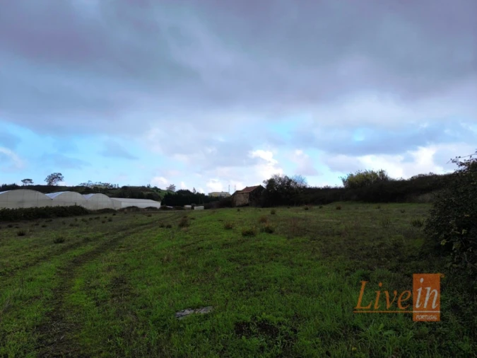 Terreno Agricola ou Rústico para Venda em Lousa Foto 14