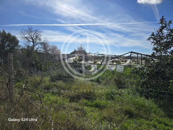 Terreno para Venda em Conceição e Estoi Foto 1
