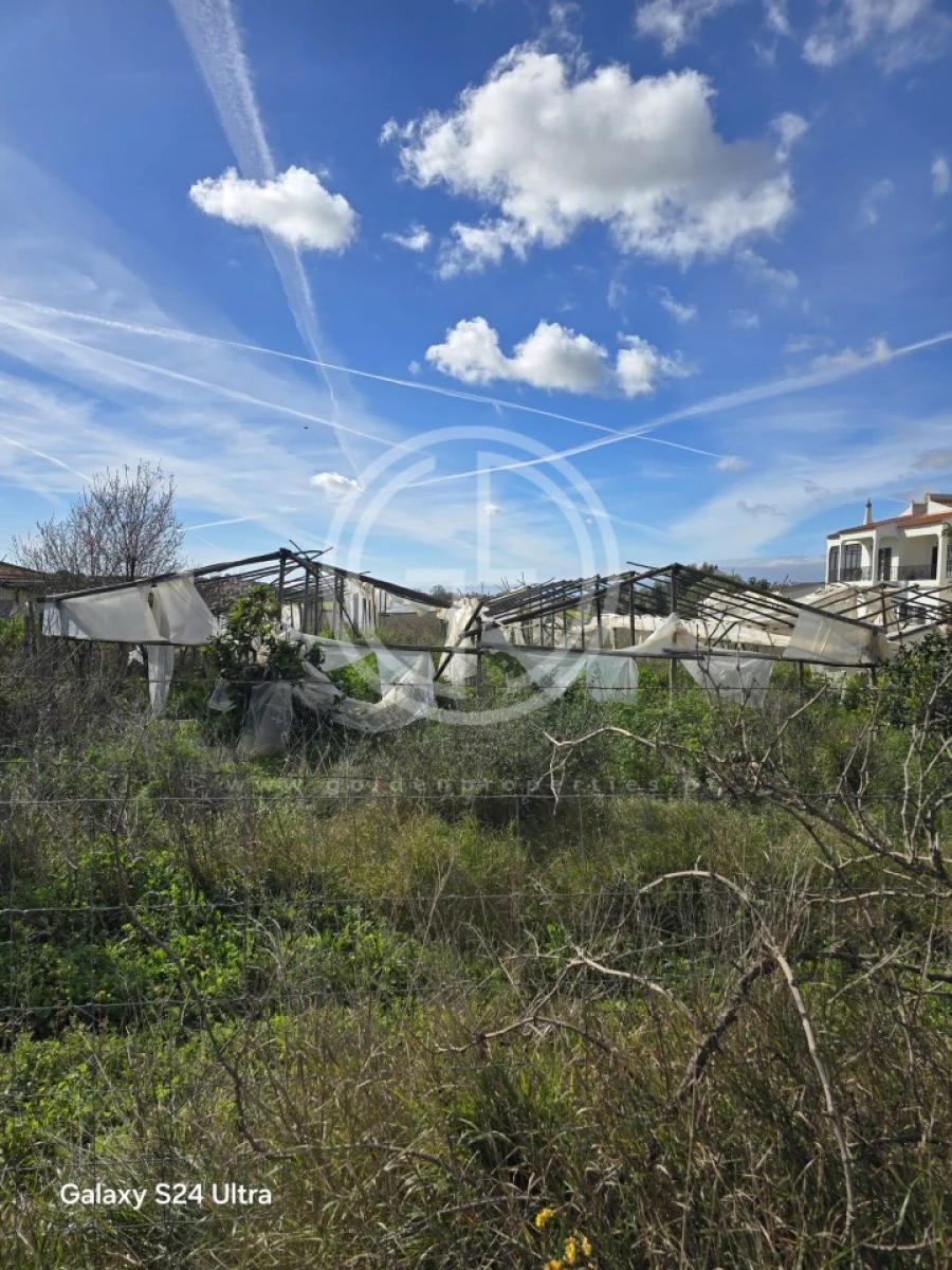 Terreno para Venda em Conceição e Estoi Foto 4