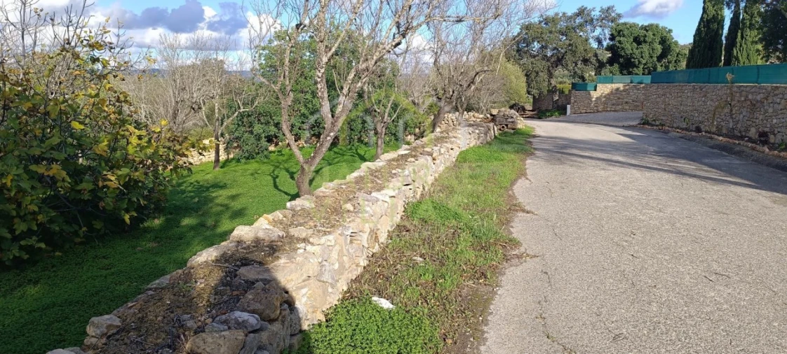 Terreno Agricola ou Rústico para Venda em Loule (São Sebastião) Foto 4