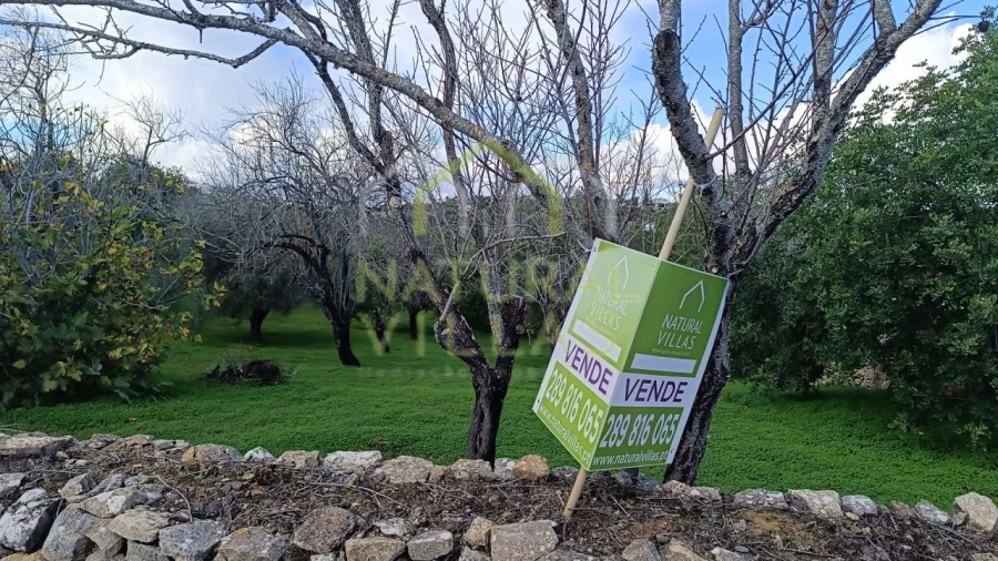 Terreno Agricola ou Rústico para Venda em Loule (São Sebastião) Foto 6