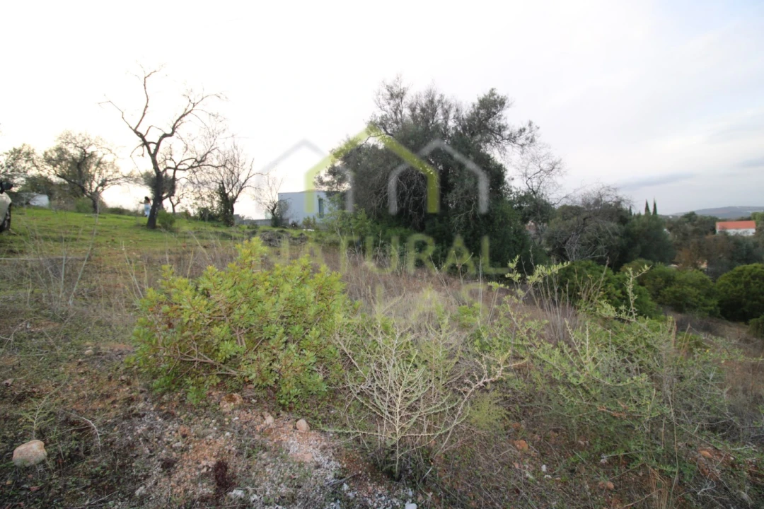 Terreno Agricola ou Rústico para Venda em Loule (São Clemente) Foto 2