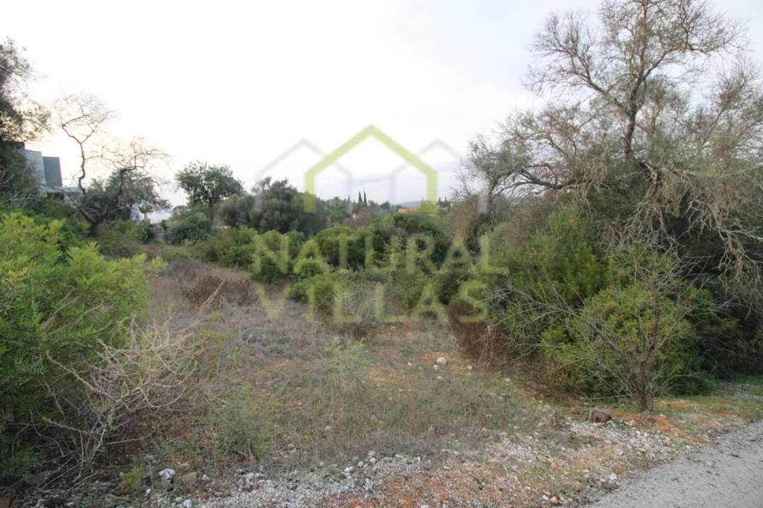 Terreno Agricola ou Rústico para Venda em Loule (São Clemente) Foto 5