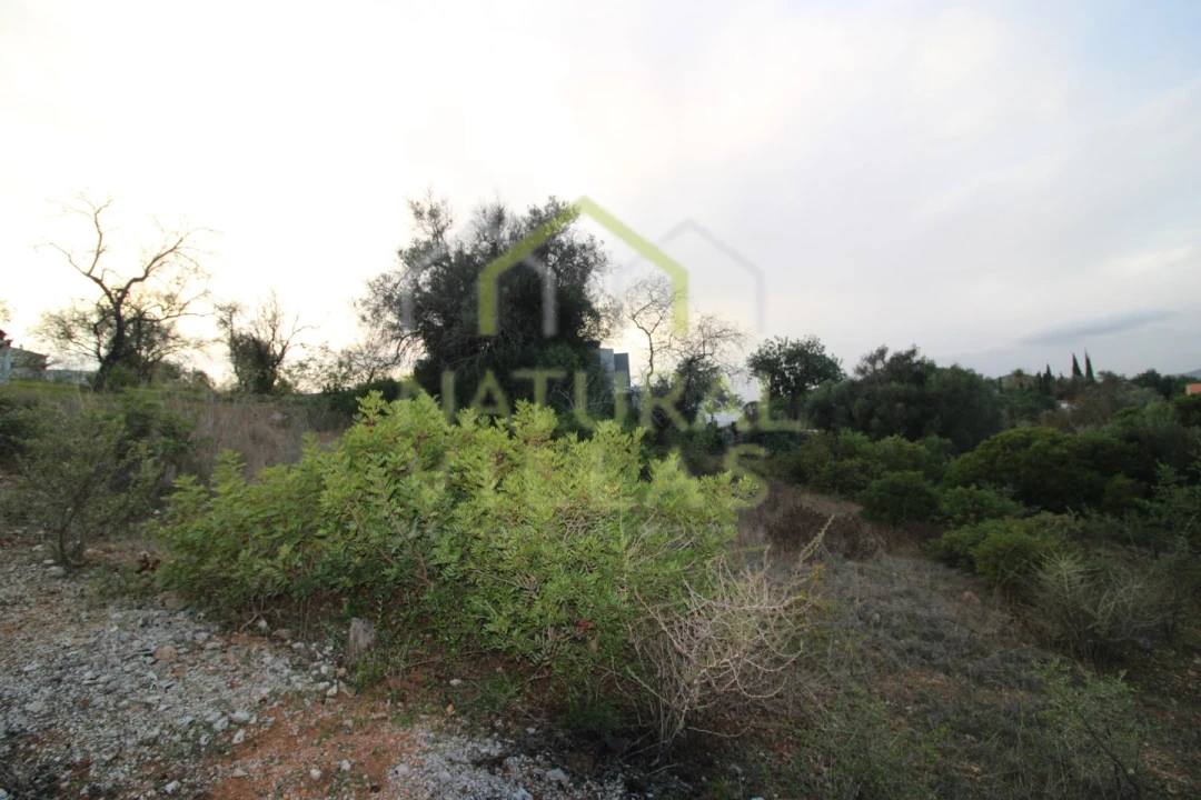 Terreno Agricola ou Rústico para Venda em Loule (São Clemente) Foto 6