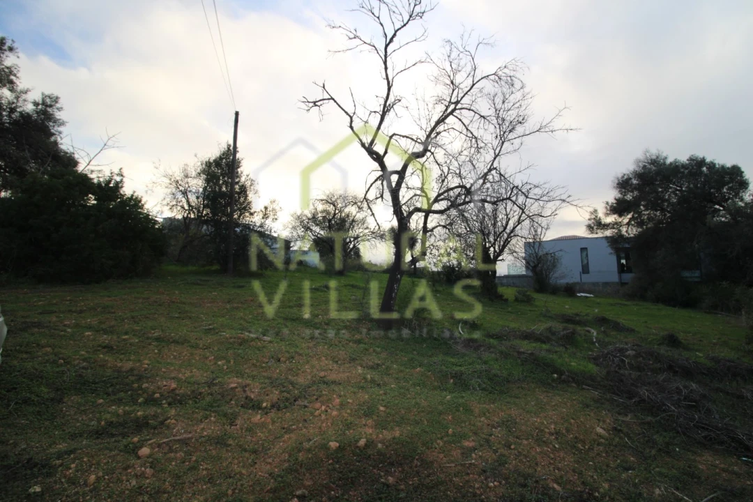 Terreno Agricola ou Rústico para Venda em Loule (São Clemente) Foto 7