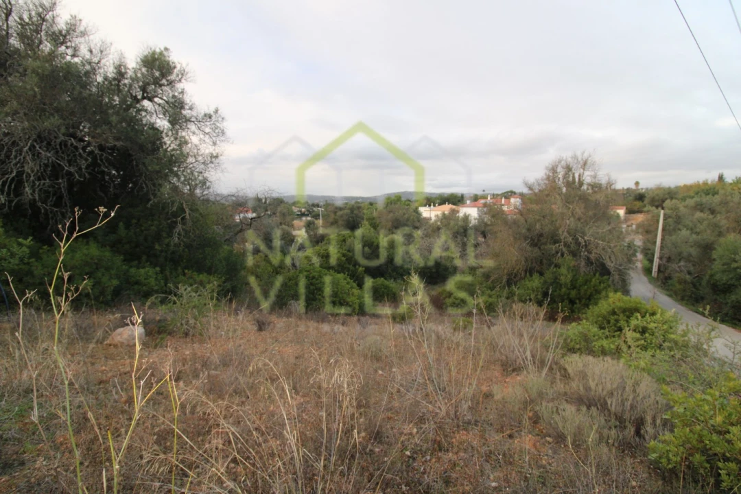 Terreno Agricola ou Rústico para Venda em Loule (São Clemente) Foto 8