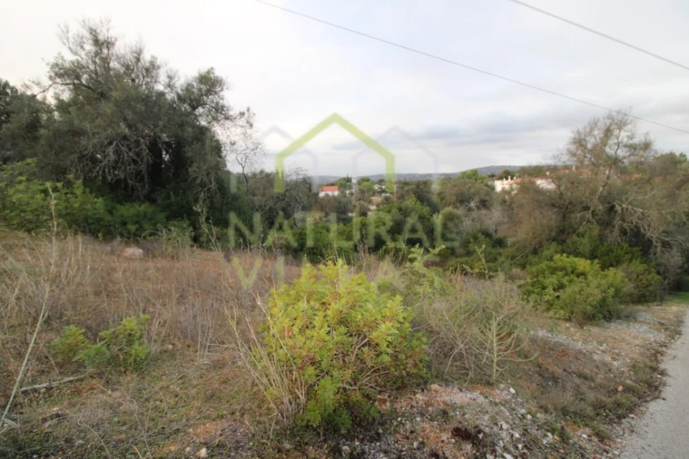 Terreno Agricola ou Rústico para Venda em Loule (São Clemente) Foto 3