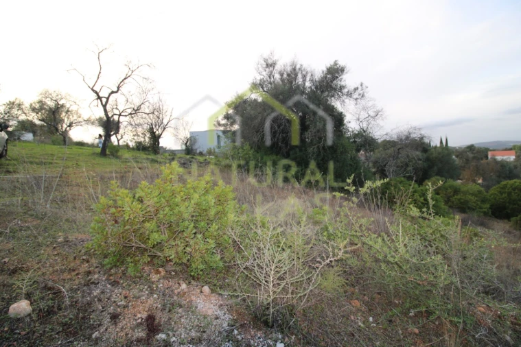 Terreno Agricola ou Rústico para Venda em Loule (São Clemente) Foto 2