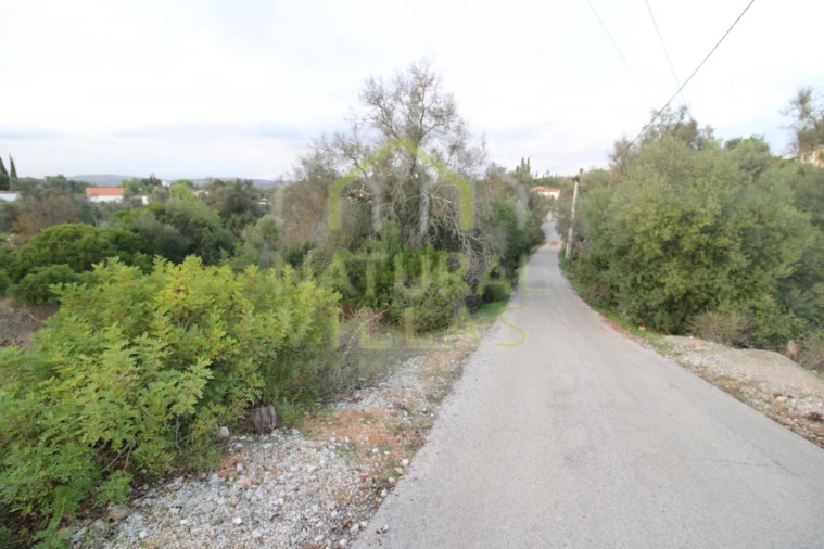 Terreno Agricola ou Rústico para Venda em Loule (São Clemente) Foto 4