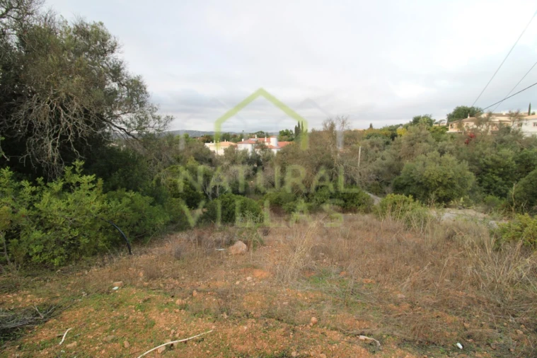 Terreno Agricola ou Rústico para Venda em Loule (São Clemente) Foto 1