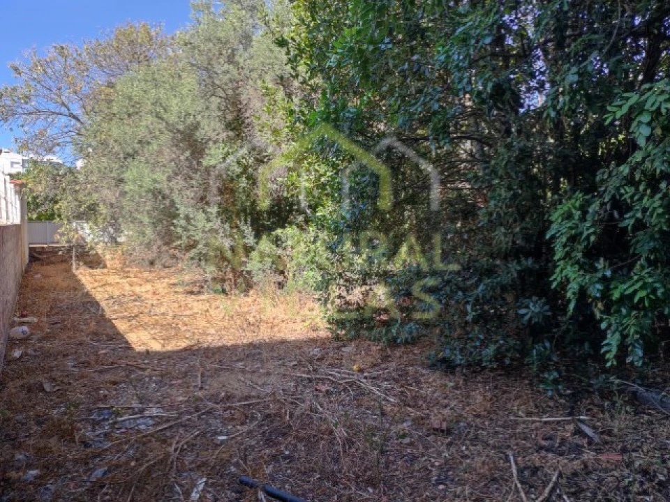 Terreno para Venda em Loule (São Clemente) Foto 4