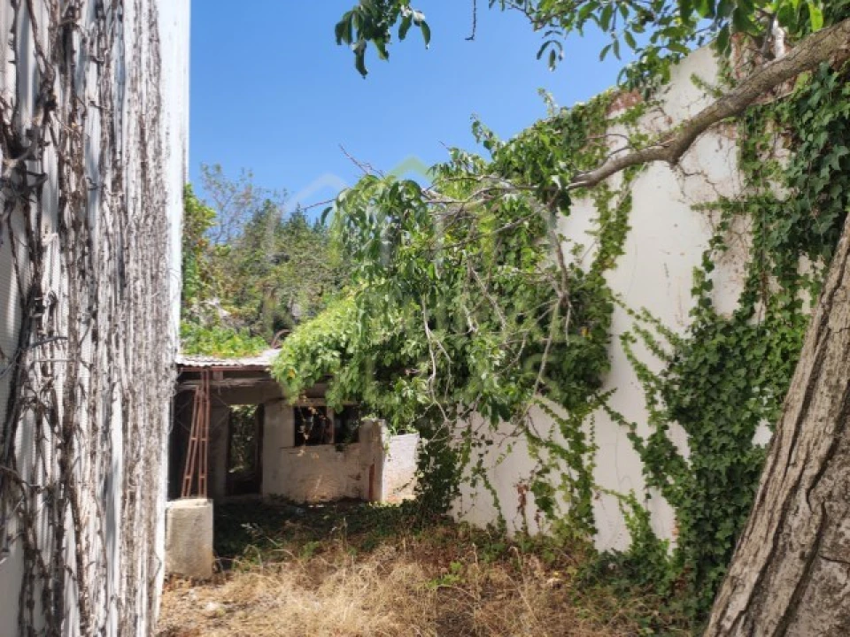 Terreno para Venda em Loule (São Clemente) Foto 2