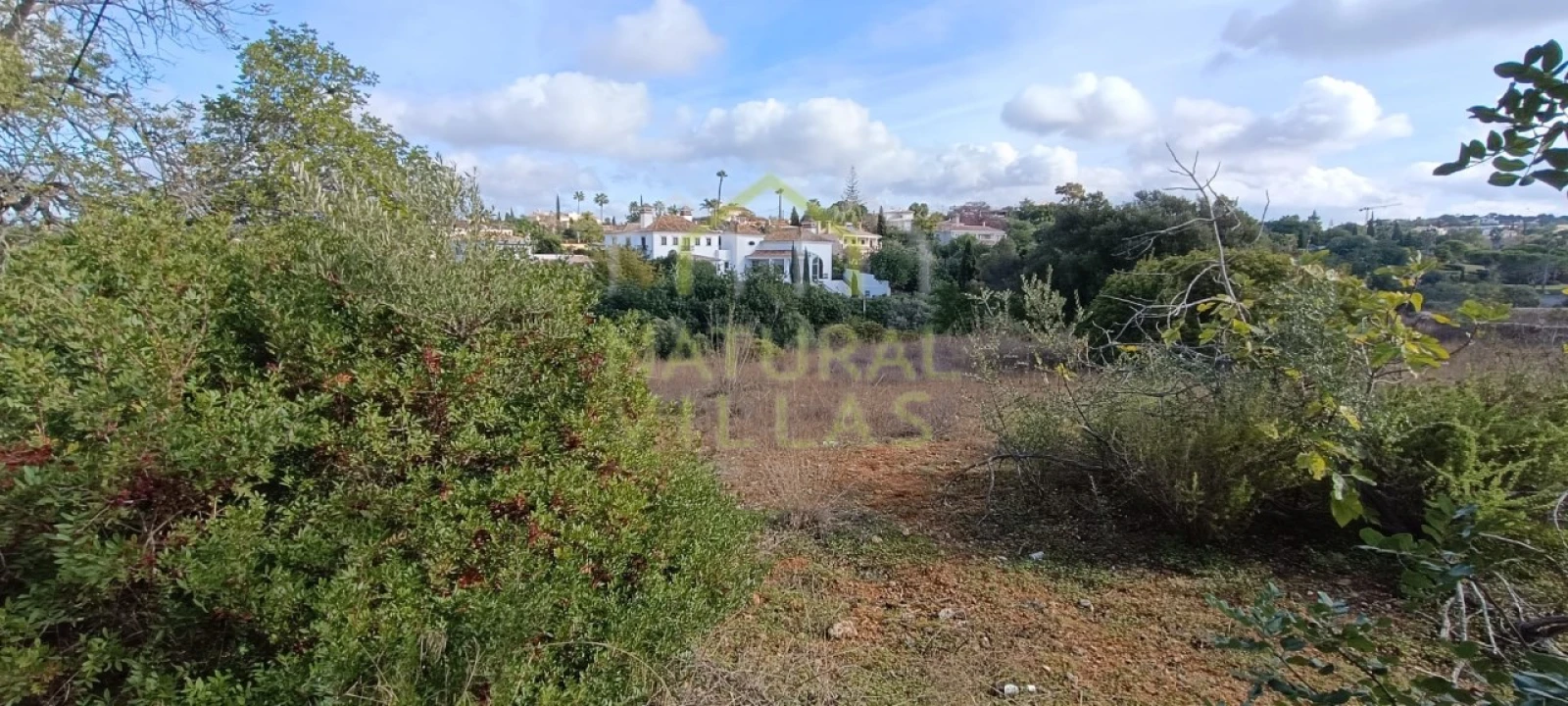Terreno para Venda em Loule (São Clemente) Foto 6