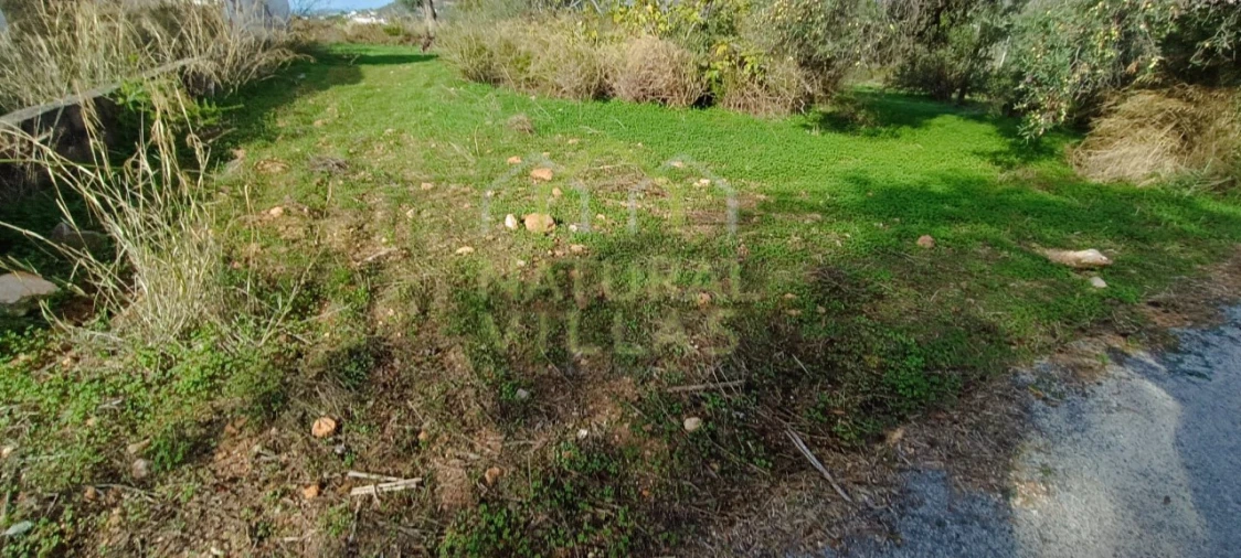 Terreno para Venda em Loule (São Clemente) Foto 3