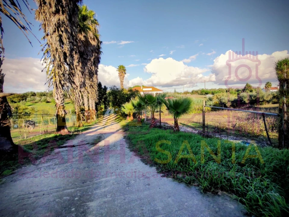 Moradia T5 para Venda em Cartaxo e Vale da Pinta Foto 15