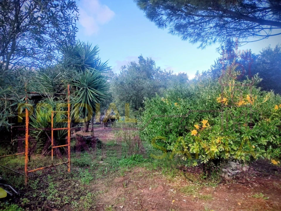 Moradia T5 para Venda em Cartaxo e Vale da Pinta Foto 21