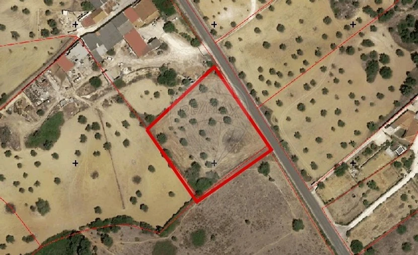 Terreno para Venda em Pernes Foto 1