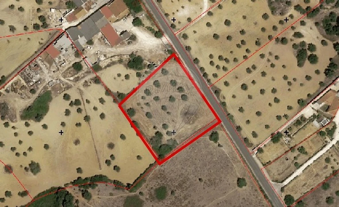 Terreno para Venda em Pernes Foto 3