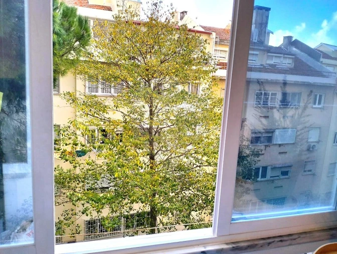 Apartamento T2 para Venda em Santa Clara Foto 19