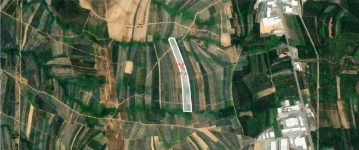 Terreno Agricola ou Rústico para Venda em Albergaria-A-Velha e Valmaior Foto 2