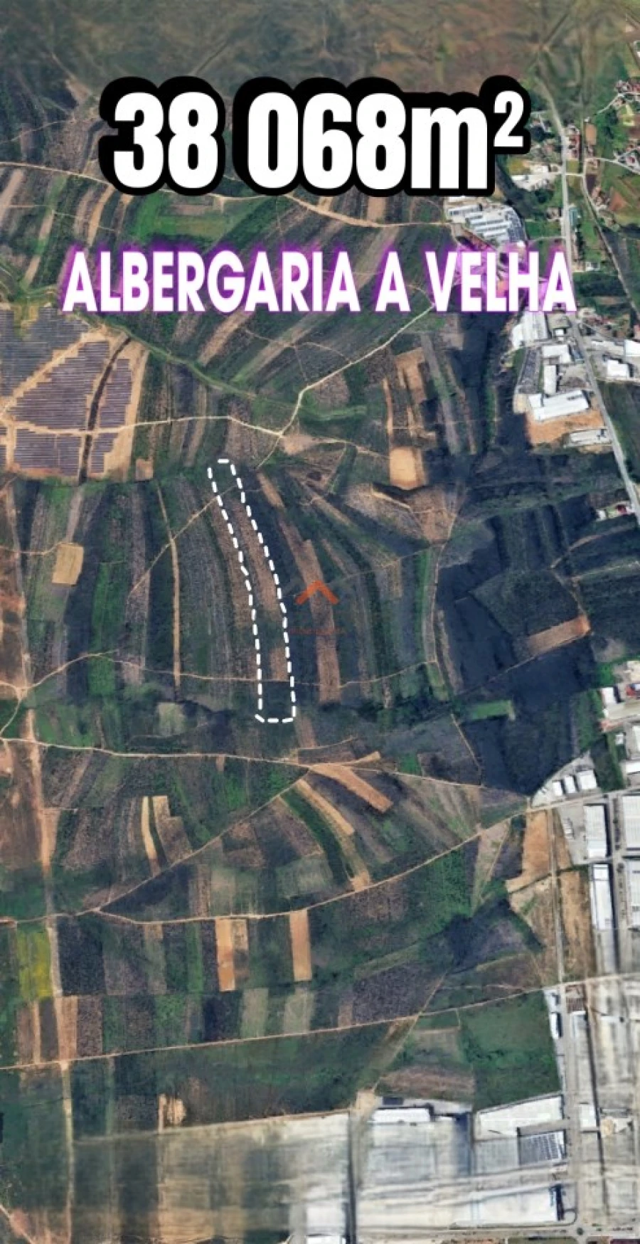 Terreno Agricola ou Rústico para Venda em Albergaria-A-Velha e Valmaior Foto 1