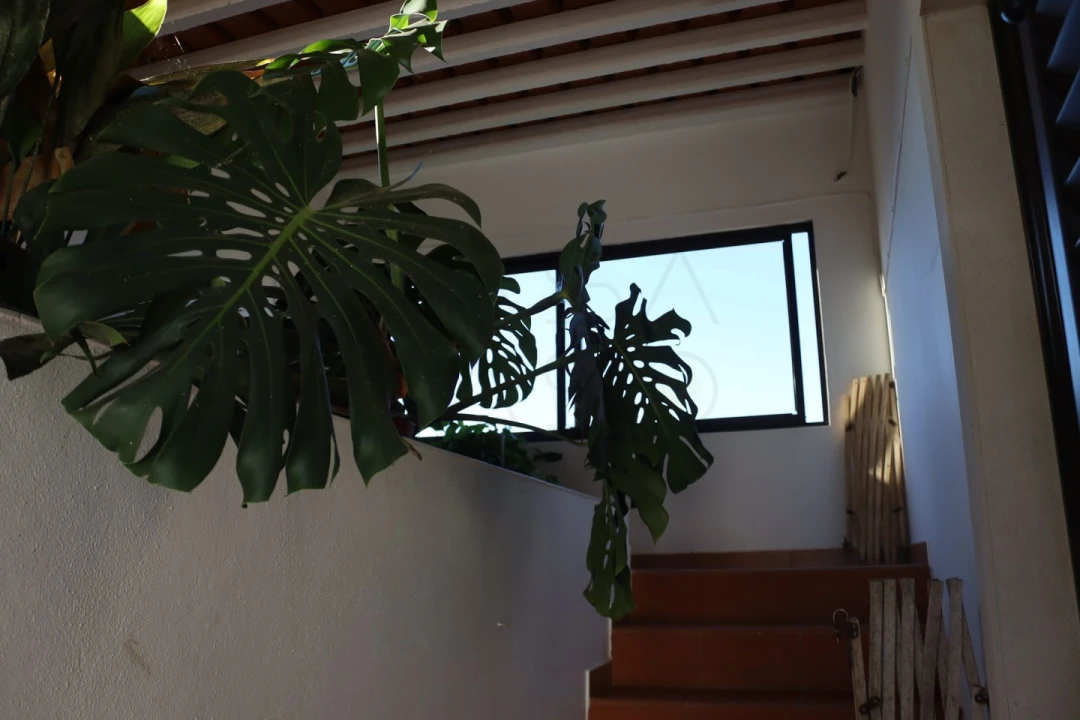 Moradia T6 para Venda em Palmela Foto 31