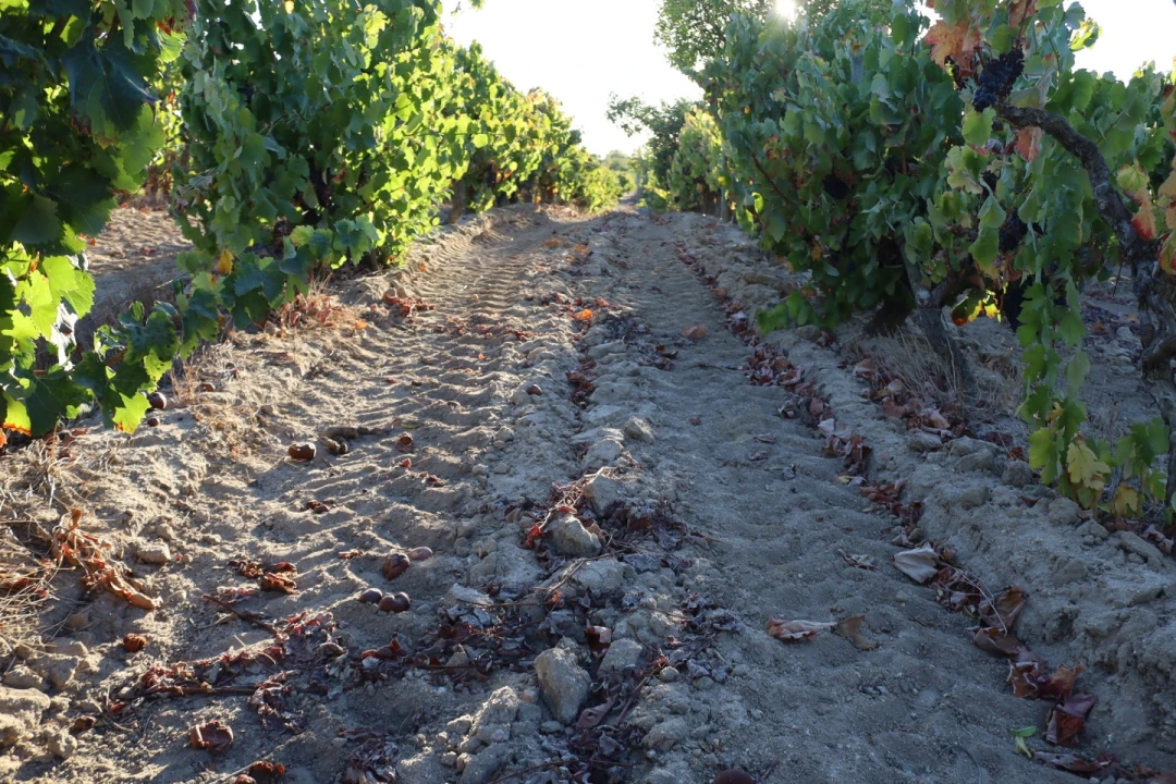 Moradia T6 para Venda em Palmela Foto 36