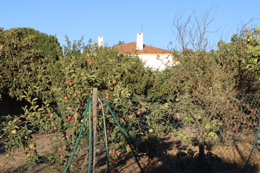 Moradia T6 para Venda em Palmela Foto 39