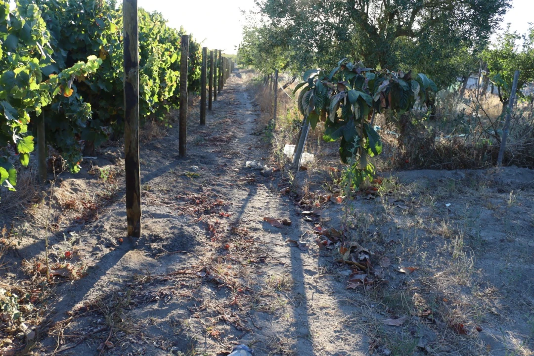 Moradia T6 para Venda em Palmela Foto 41