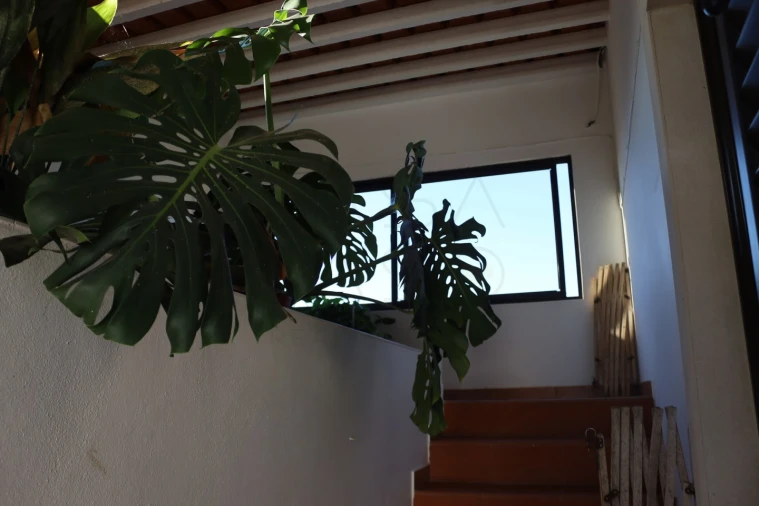 Moradia T6 para Venda em Palmela Foto 31