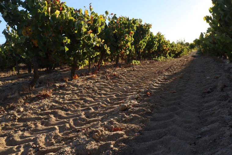 Moradia T6 para Venda em Palmela Foto 37