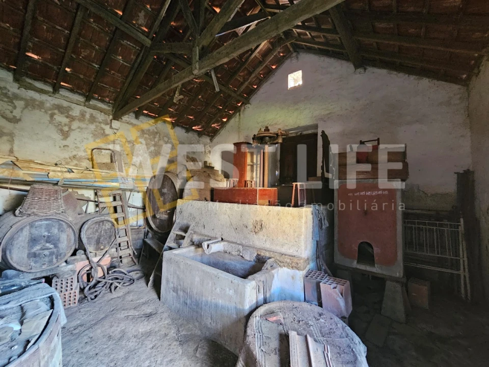 Moradia T1 para Venda em Igreja Nova e Cheleiros Foto 5