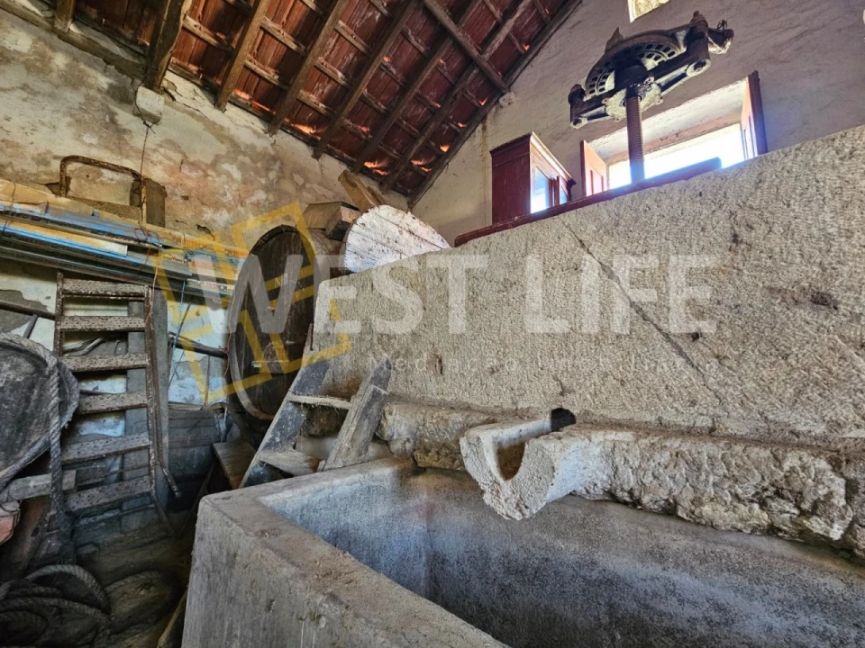 Moradia T1 para Venda em Igreja Nova e Cheleiros Foto 18