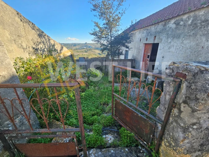 Negócio para Venda em Igreja Nova e Cheleiros Foto 6