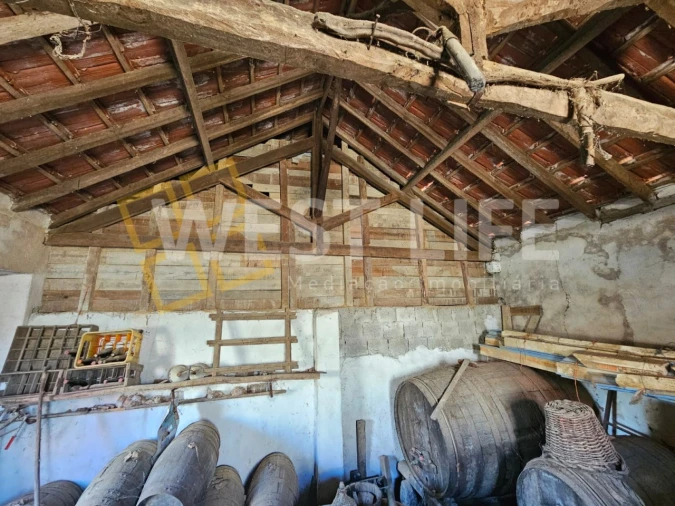 Negócio para Venda em Igreja Nova e Cheleiros Foto 12