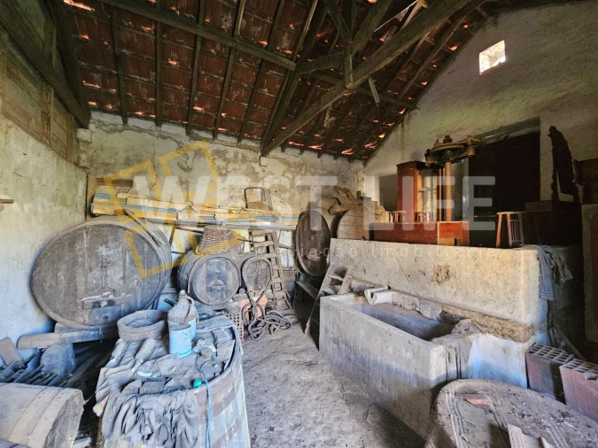 Negócio para Venda em Igreja Nova e Cheleiros Foto 14