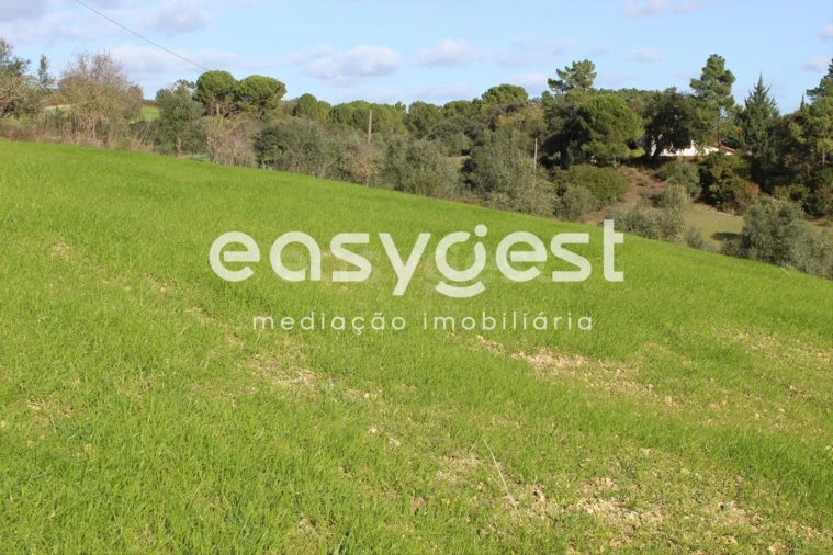 Terreno Agricola ou Rústico para Venda em Madalena e Beselga Foto 2