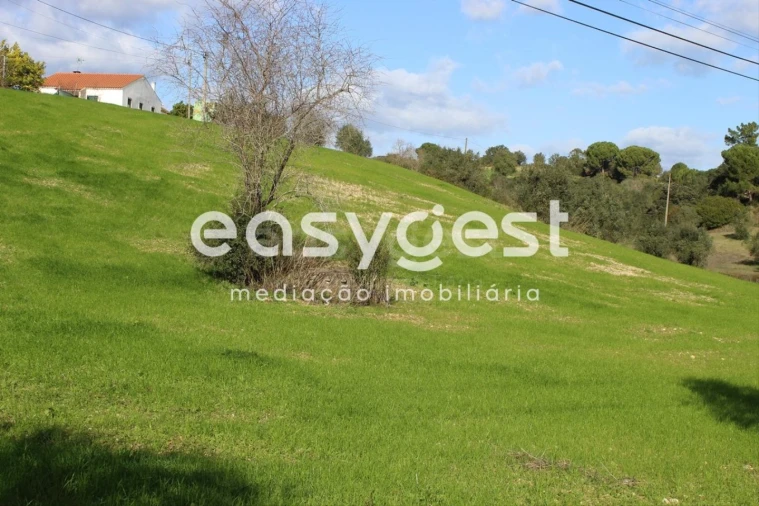 Terreno Agricola ou Rústico para Venda em Madalena e Beselga Foto 3