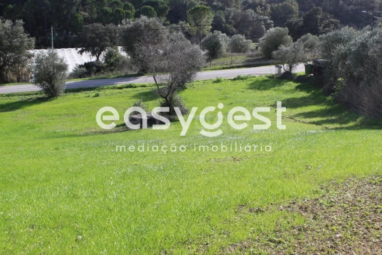 Terreno Agricola ou Rústico para Venda em Madalena e Beselga Foto 6