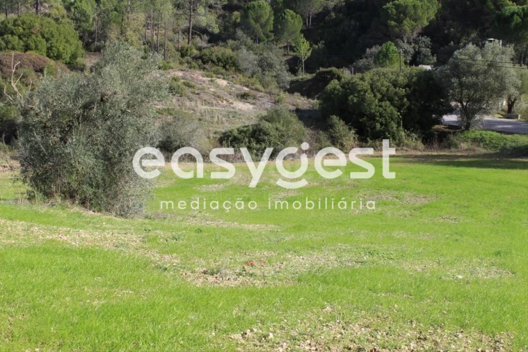 Terreno Agricola ou Rústico para Venda em Madalena e Beselga Foto 7