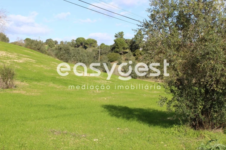 Terreno Agricola ou Rústico para Venda em Madalena e Beselga Foto 9