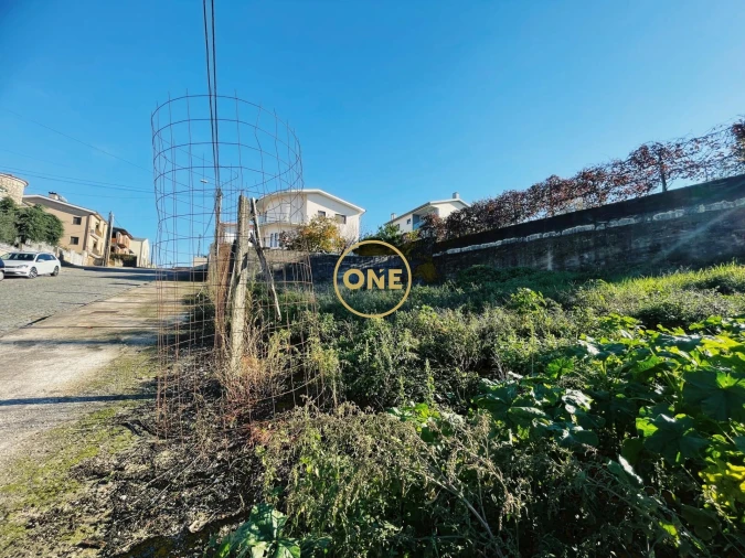 Terreno para Venda em Celeirós, Aveleda e Vimieiro Foto 2