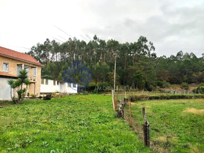 Moradia T3 para Venda em Silva Escura e Dornelas Foto 8