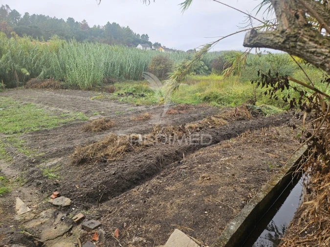 Quinta T3 para Venda em Bemposta Foto 7